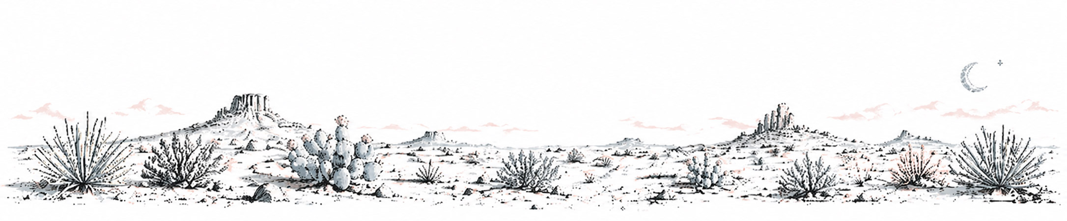 High Desert Mystics — desert panorama